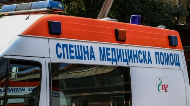 Някои идеи за реформата на спешна помощ от Проф. Поля Голева